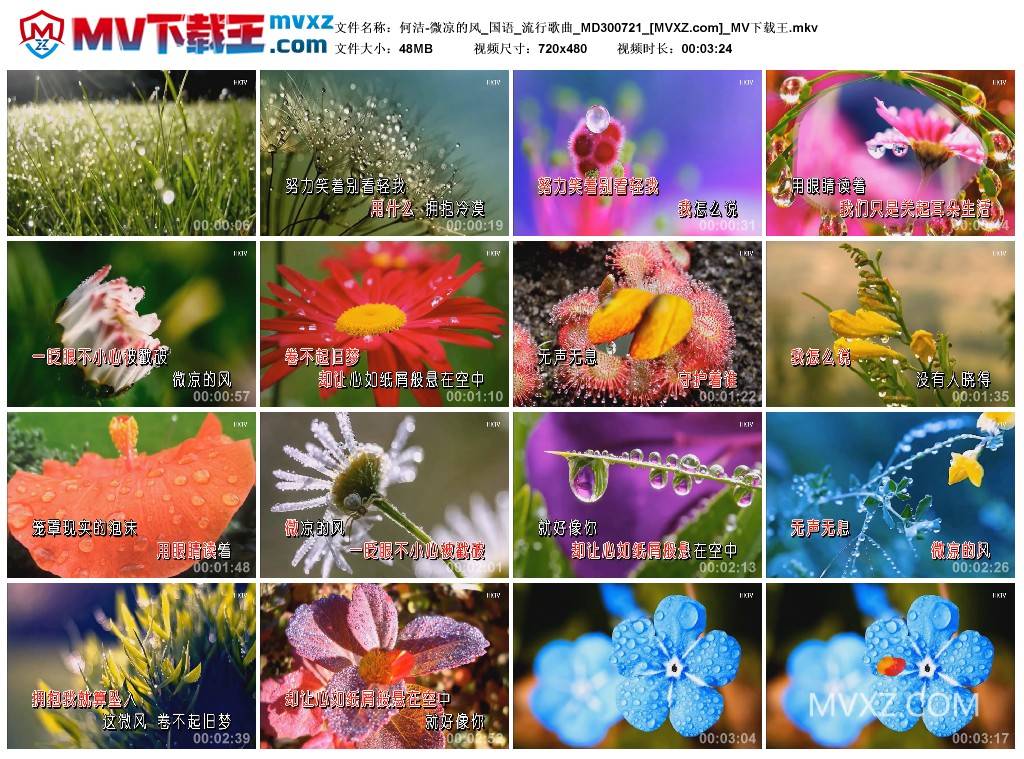 何洁-微凉的风_国语_流行歌曲_MD300721